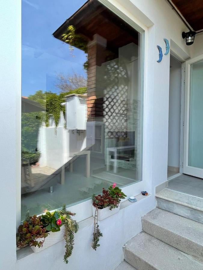 Azzurra House Apartment Marina Di Pisa Ngoại thất bức ảnh