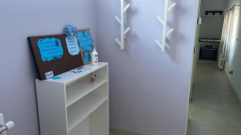 Azzurra House Apartment Marina Di Pisa Ngoại thất bức ảnh